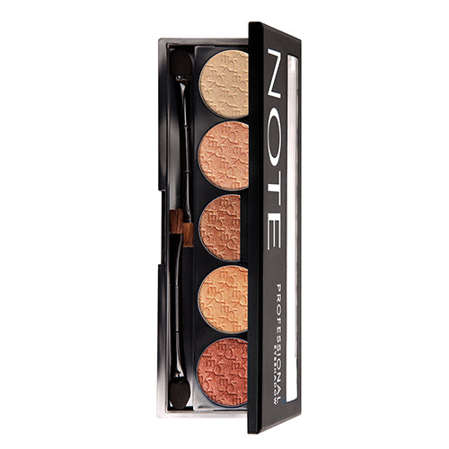 PROFESSIONAL EYESHADOW/ Мэргэжлийн зовхины будаг